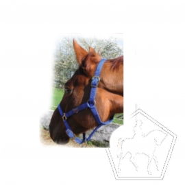 LICOL NYLON DOUBLÉ CUIR UNI PONEY